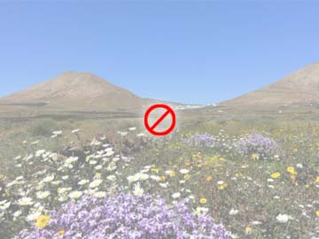 Villa auf typisch kanarischer Finca