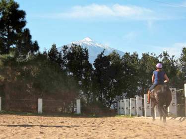 FEWO auf familienfreundlicher Finca FEWO auf familienfreundlicher Finca