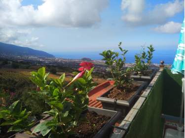 Idyllische Fewo auf ruhiger Finca