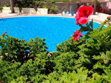 Fewo im Pool und Sonnenliegen